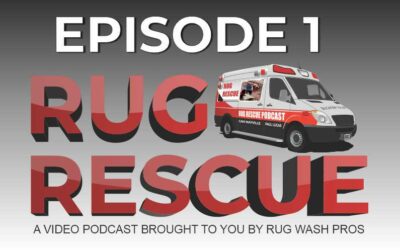Rug Rescue – Episode 1