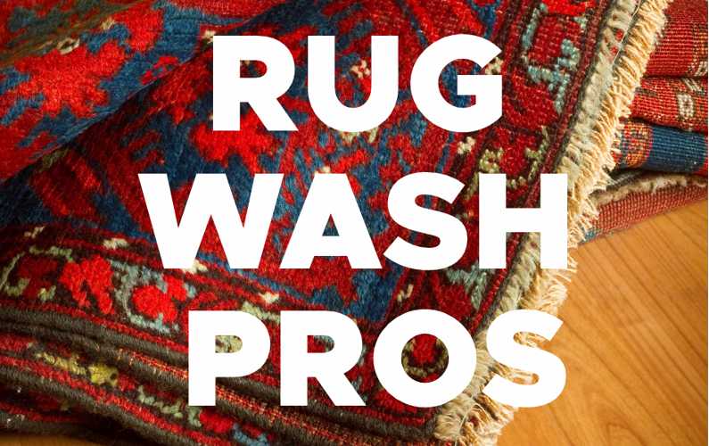 Rug Wash Pros – Episode 16
